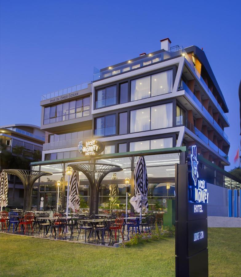 Lucky Monkey Otel Antalya